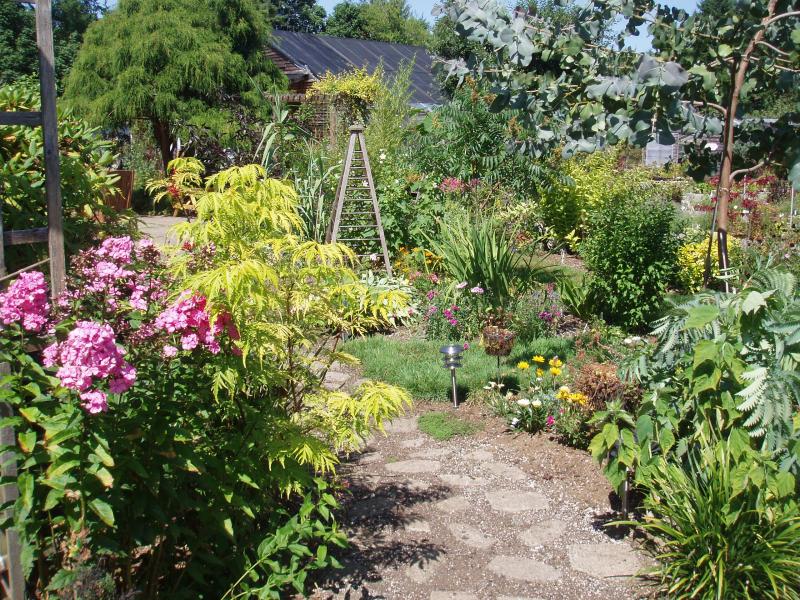 Tropical Garden